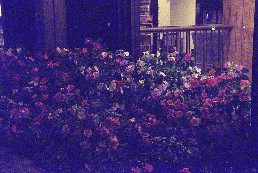 Computational Imaging